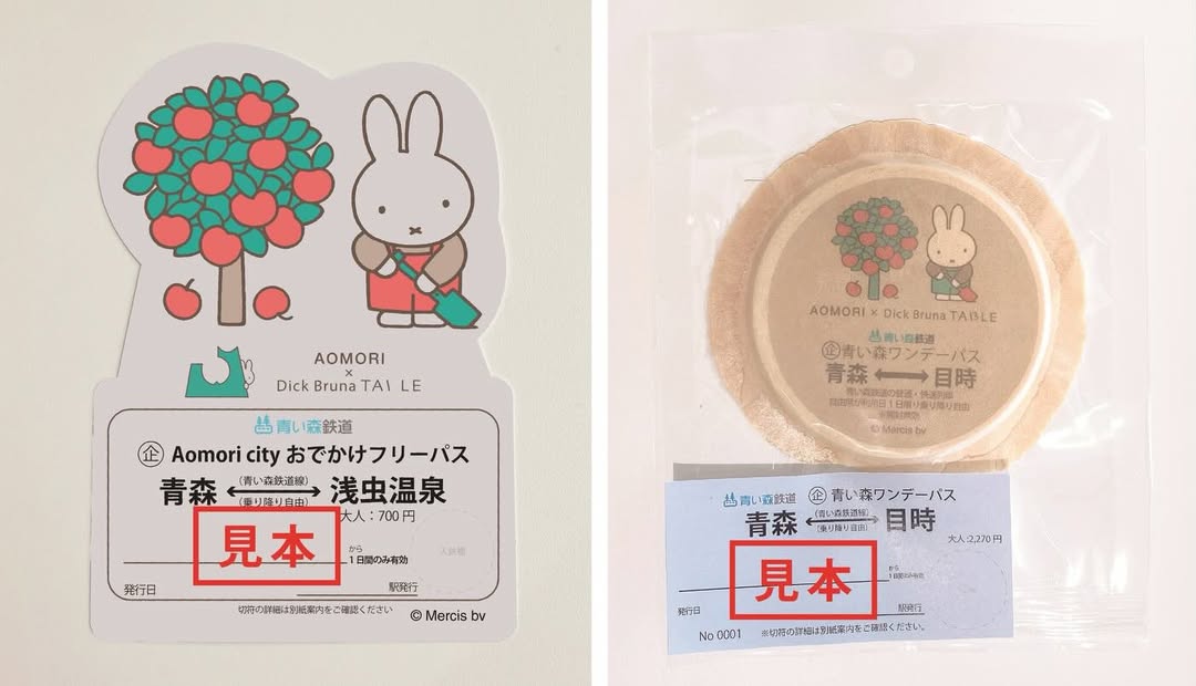 Aomori city おでかけフリーパス