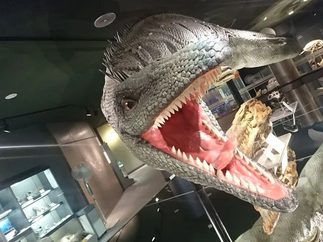 モササウルス
