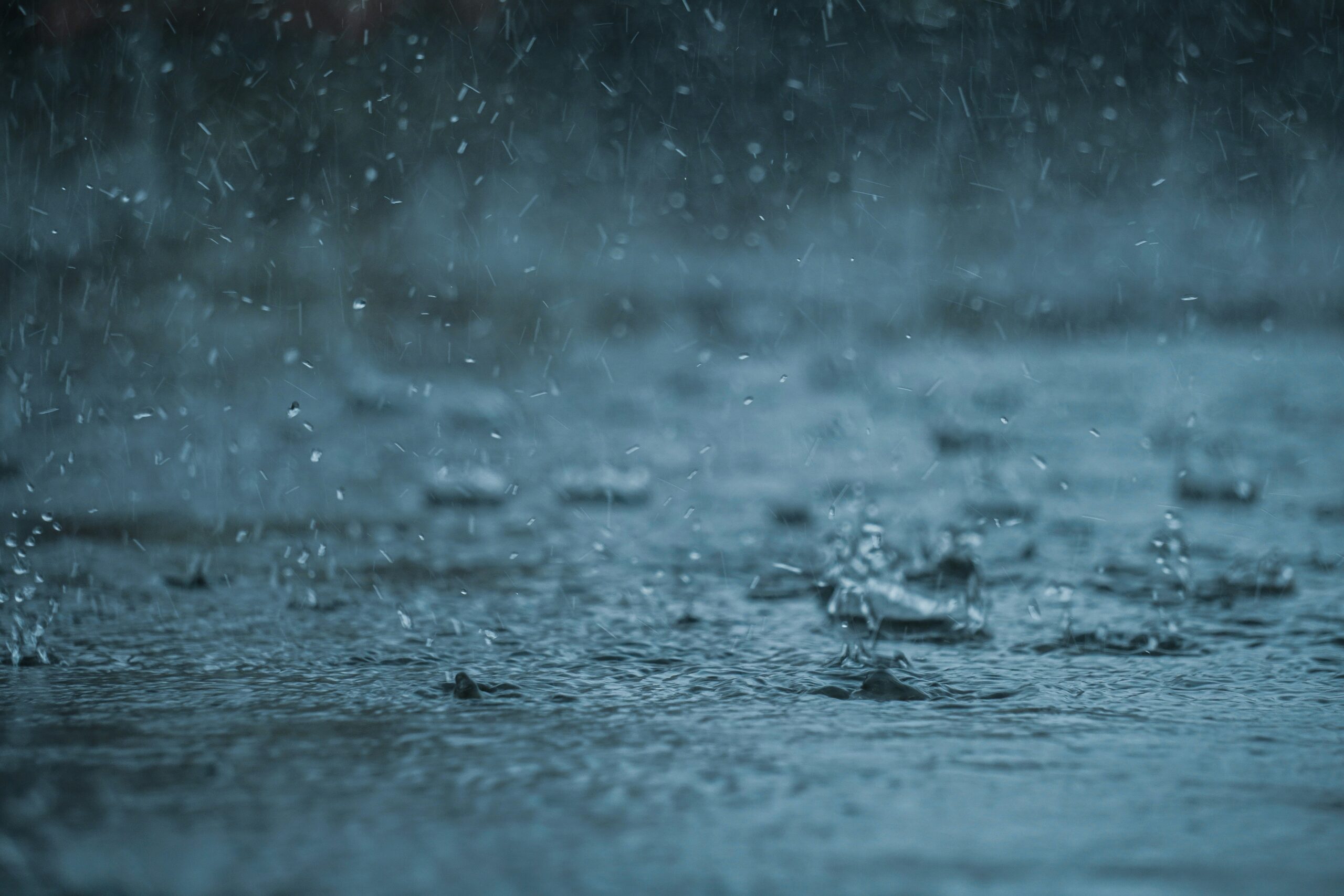 雨