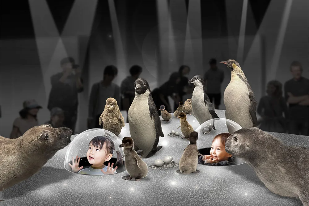 ペンギン
